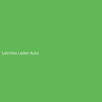 Leichtes Leder-Auto