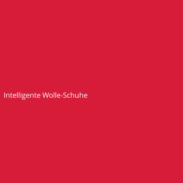 Intelligente Wolle-Schuhe