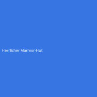 Herrlicher Marmor-Hut